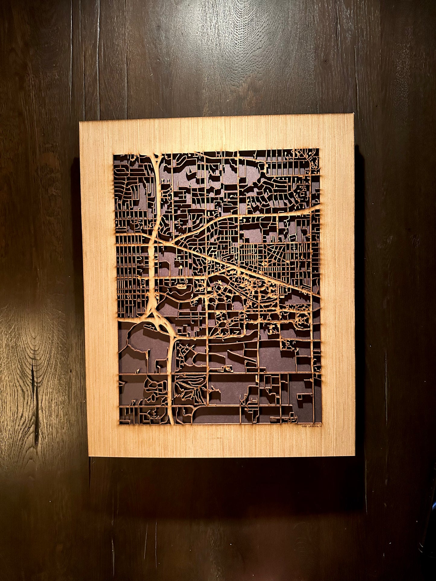 East Lansing, MI City Street Map | Modern Wood Wall Art in a Minimalist design. 2 sizes