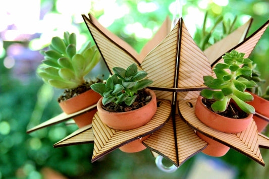 Flower Tower, Vertical Garden Hanging planter for succulents and herbs and anything else small.